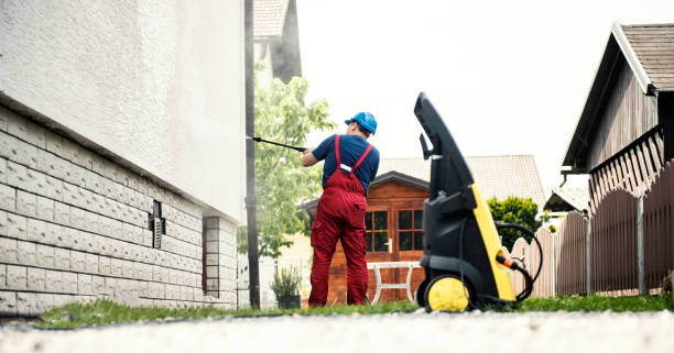 Best Gutter Cleaning  in Dwight, IL